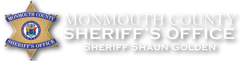 MCSO Logo