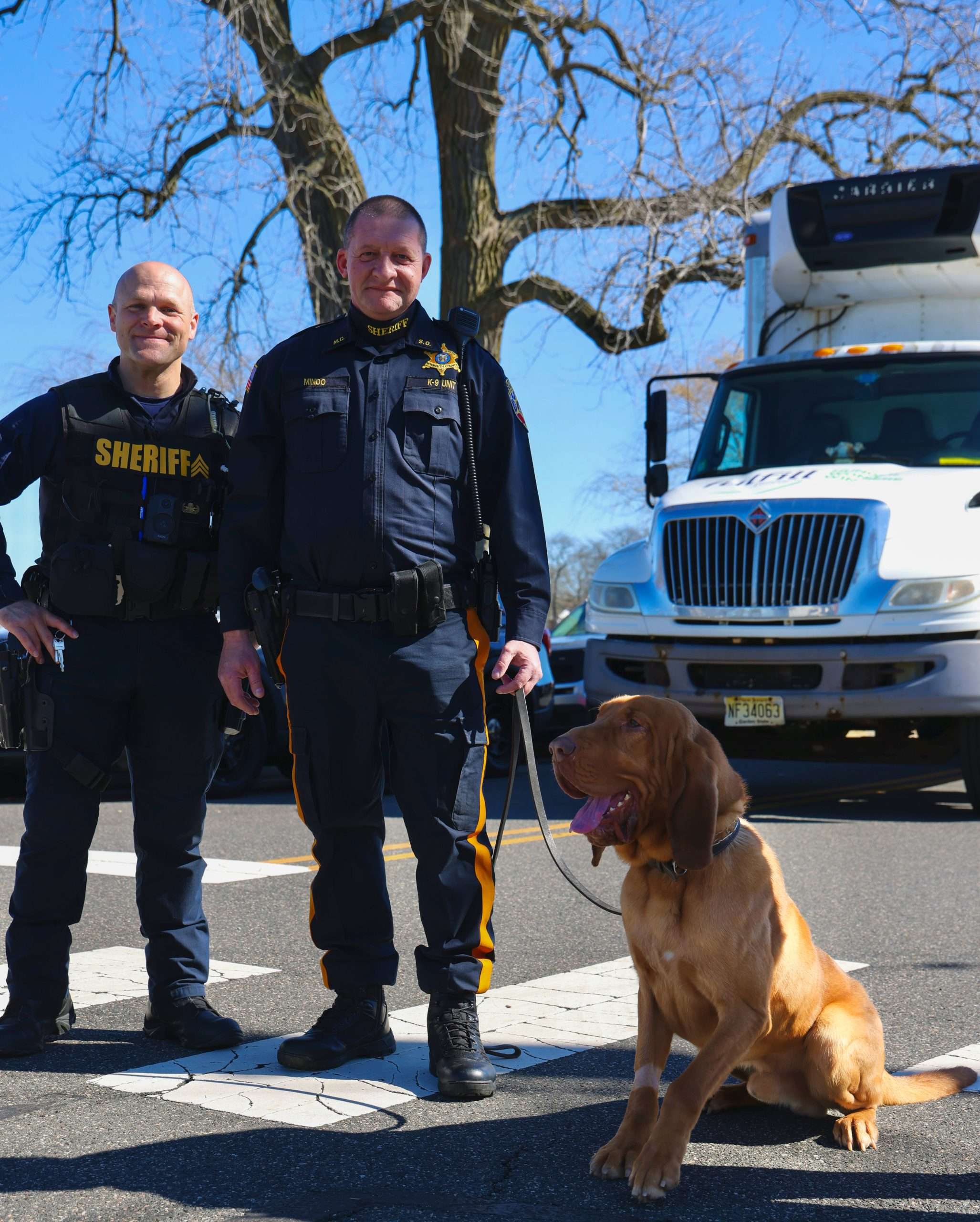 K-9 Unit
