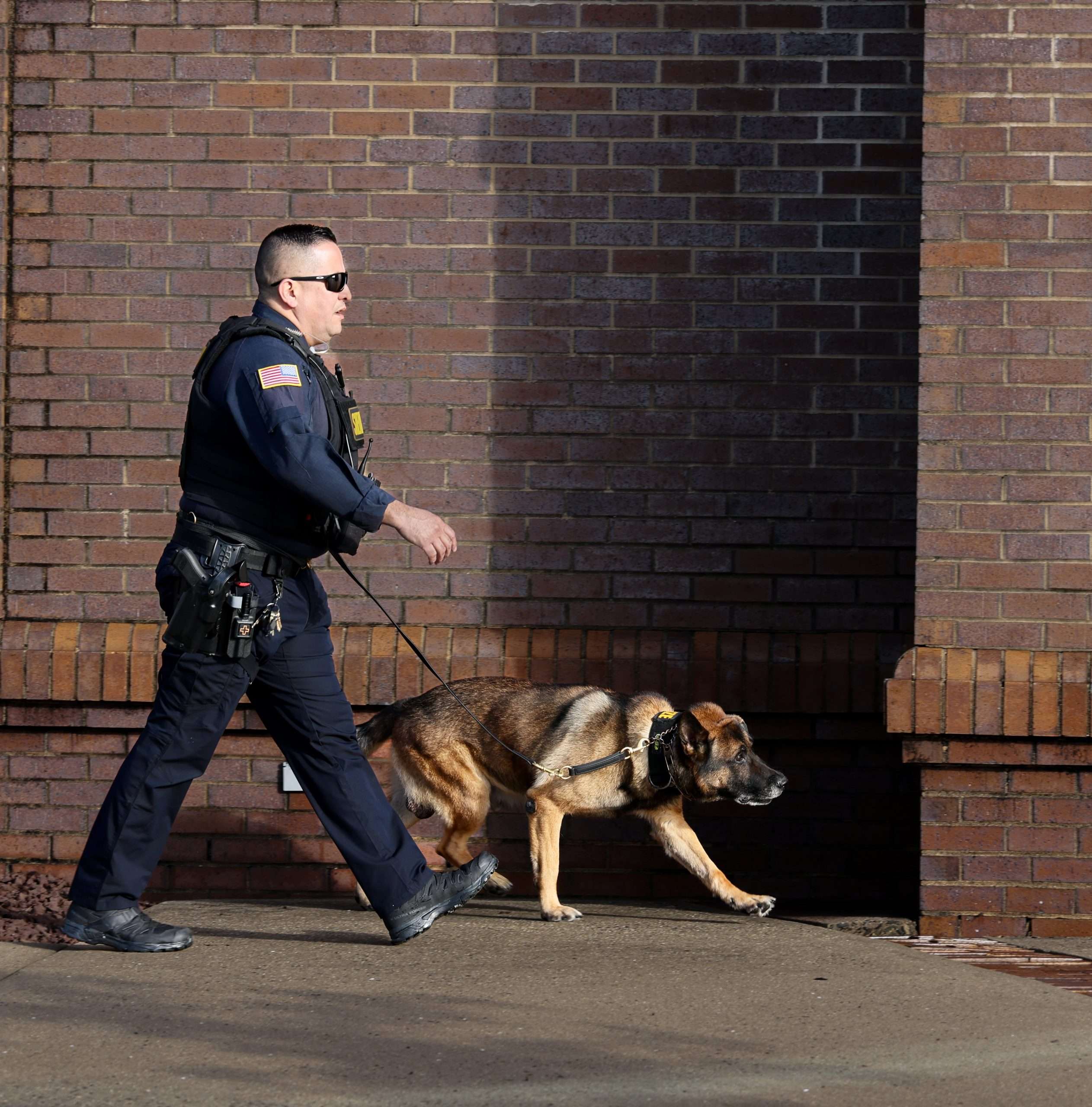 K-9 Unit