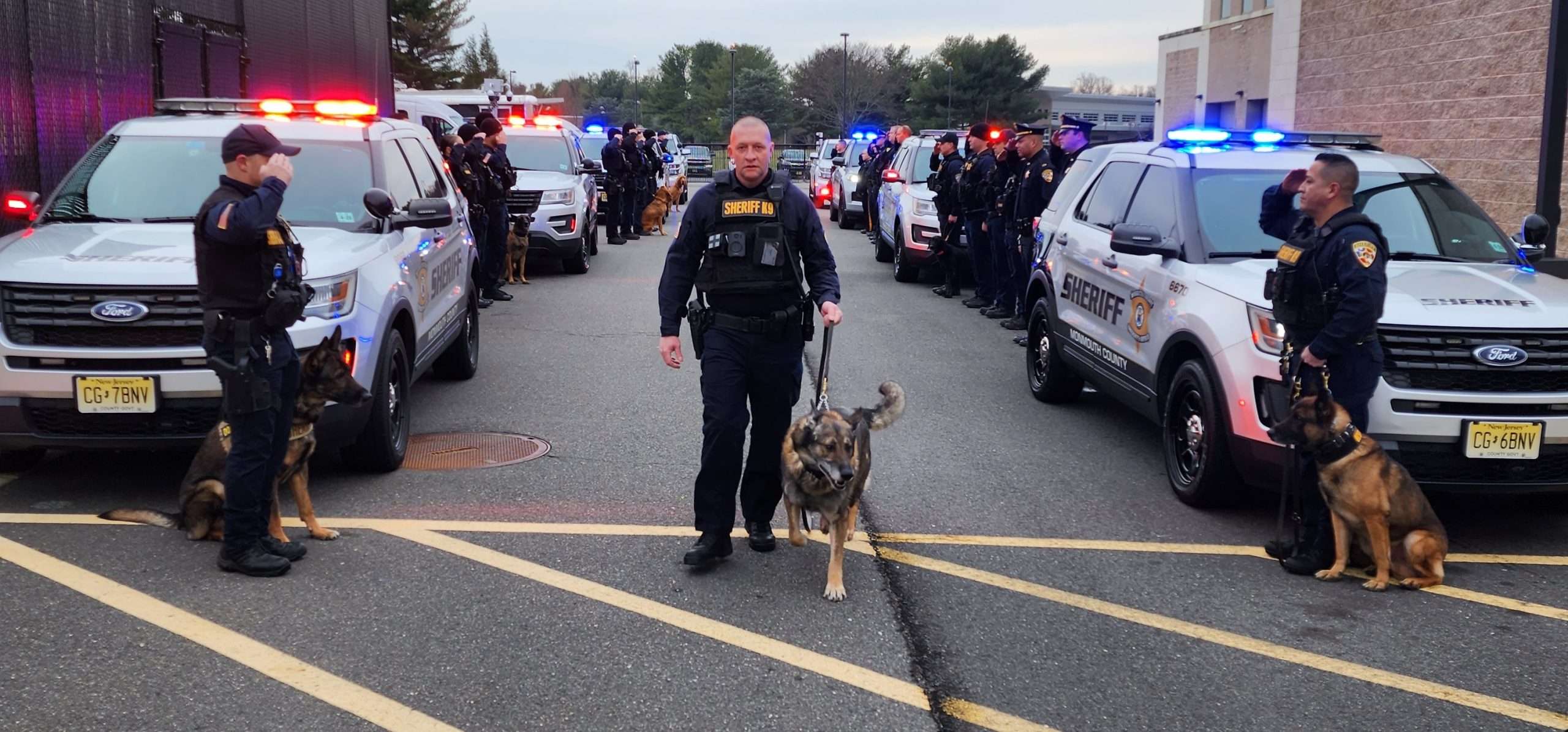 K-9 Unit