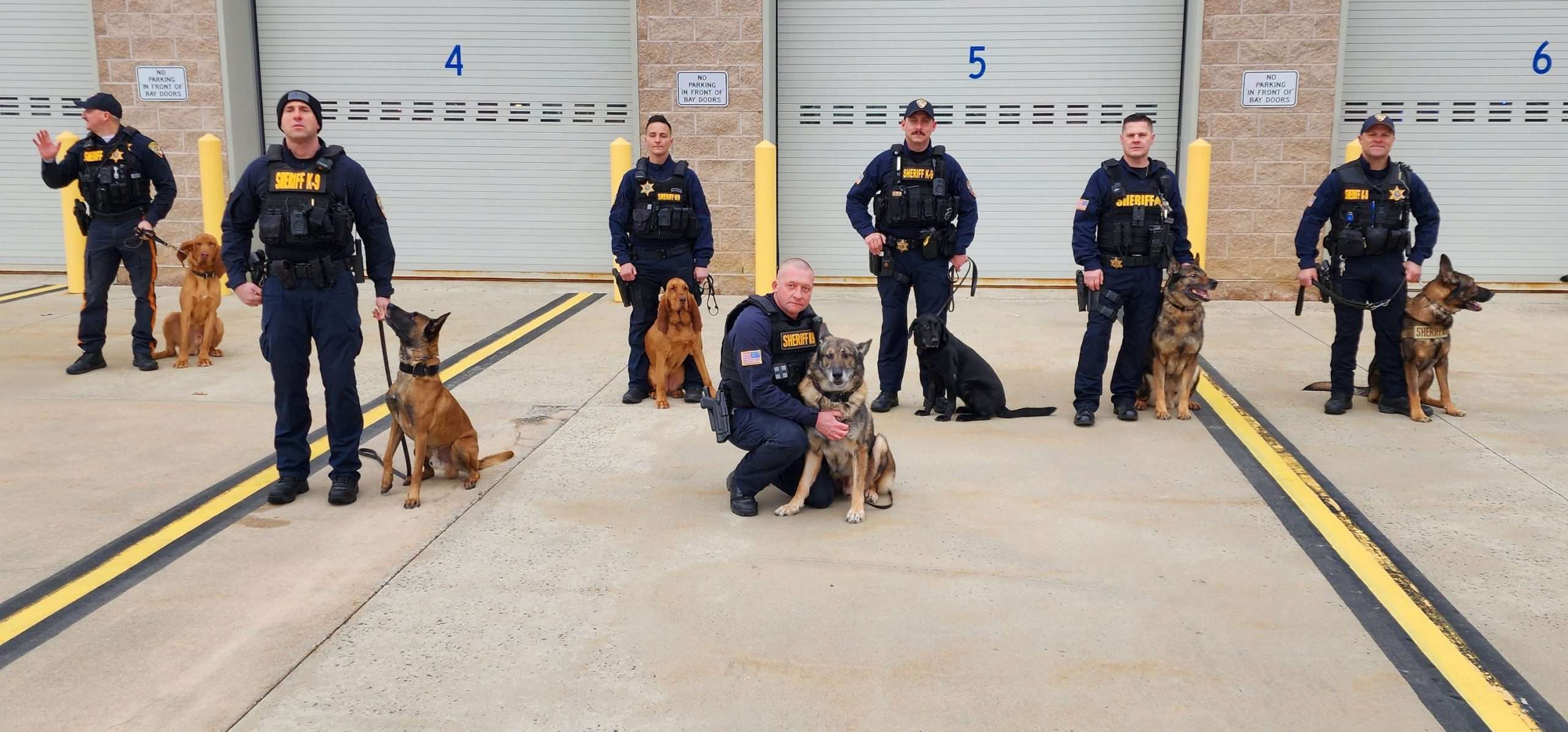 K-9 Unit