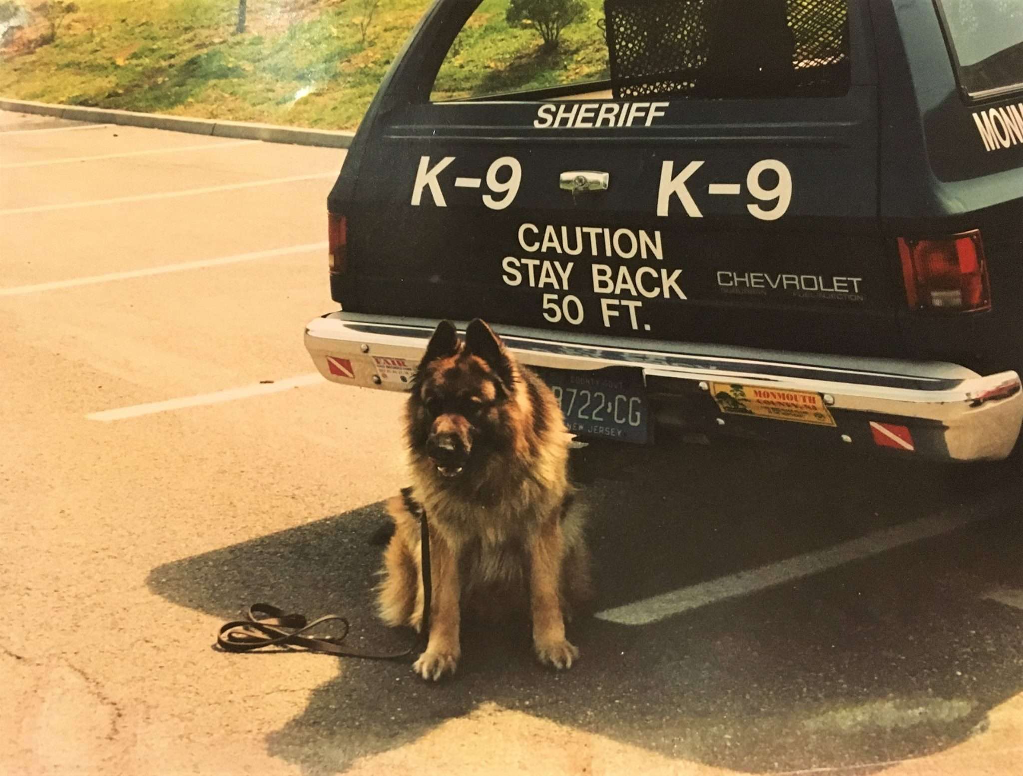 K-9 Solo