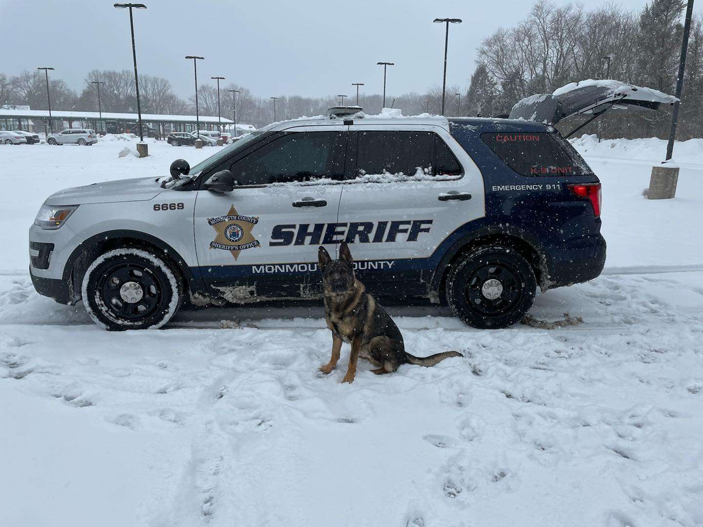 K-9 Unit