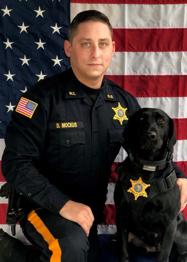 K-9 Harley