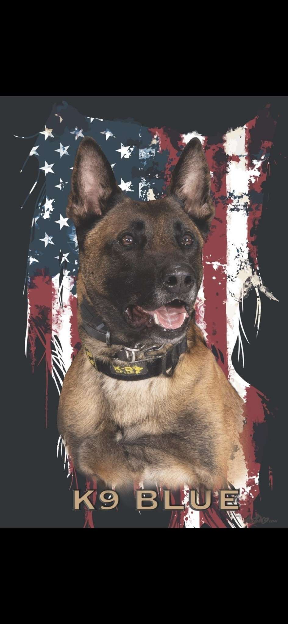 K-9 Unit