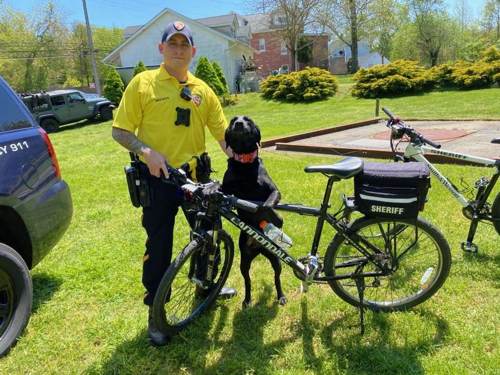 K-9 Unit