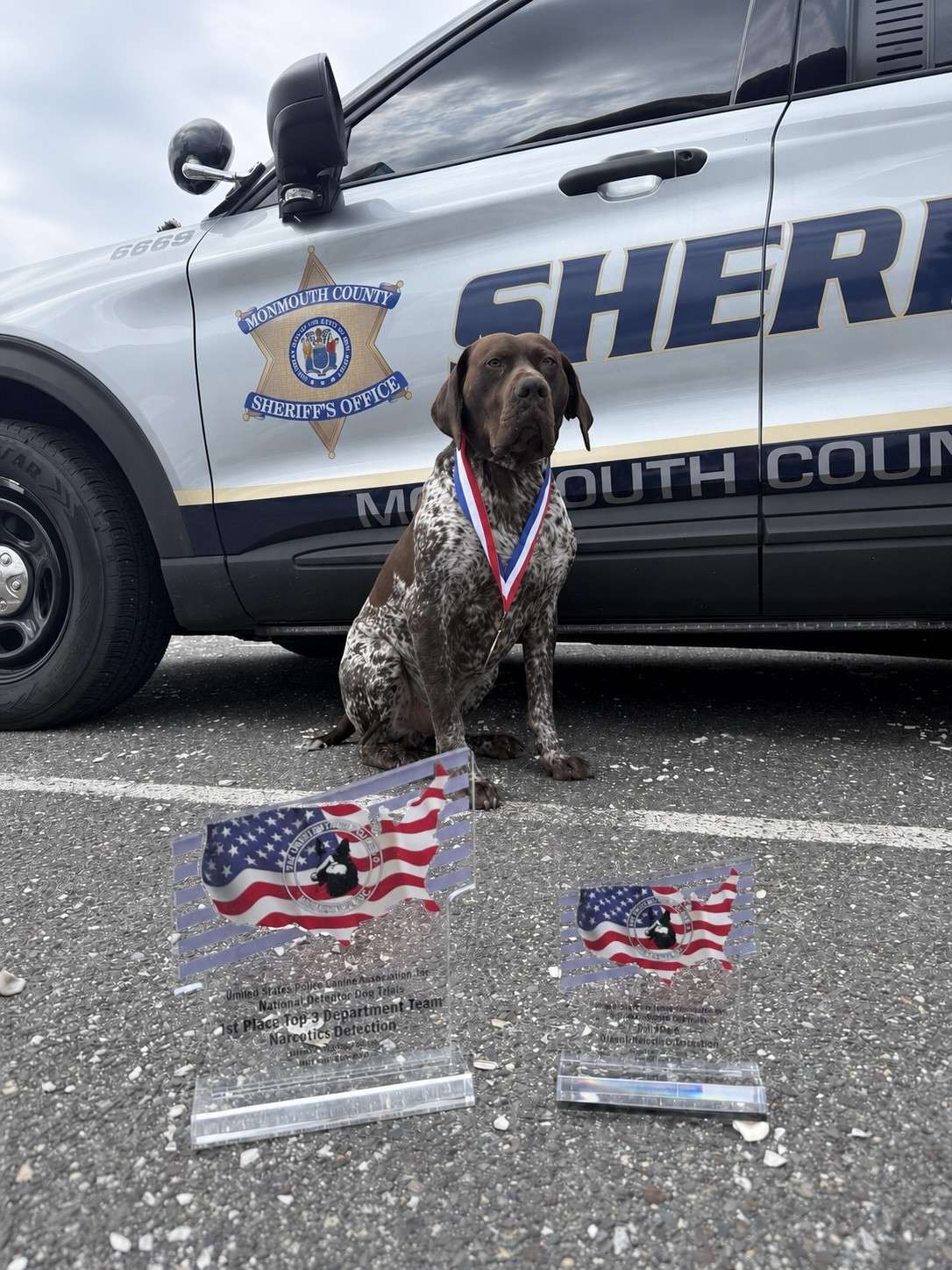 K-9 Unit