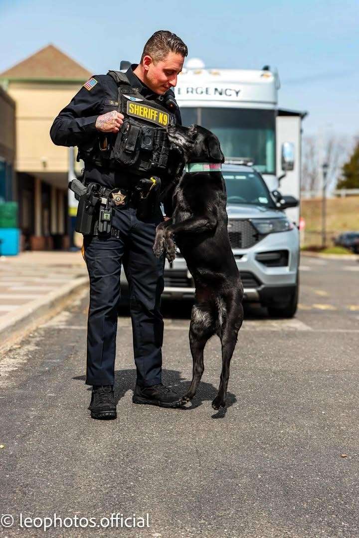 K-9 Unit