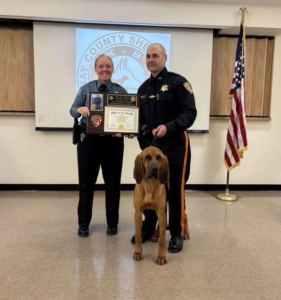 K-9 Moose