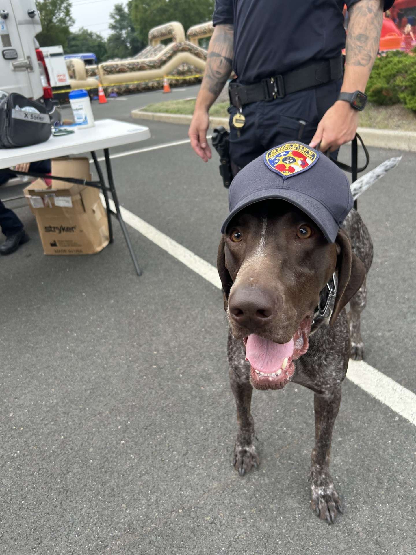 K-9 Unit