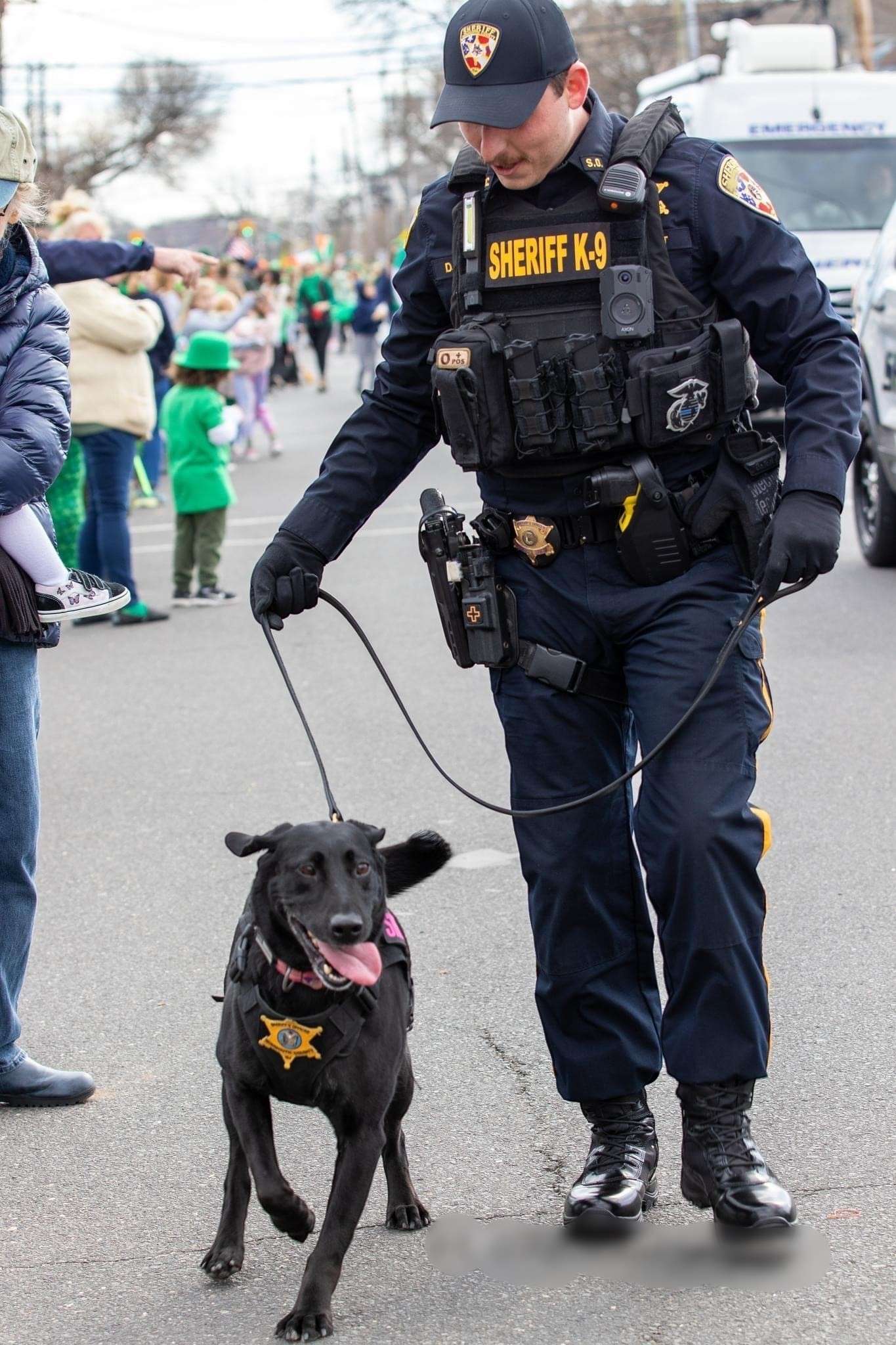 K-9 Unit