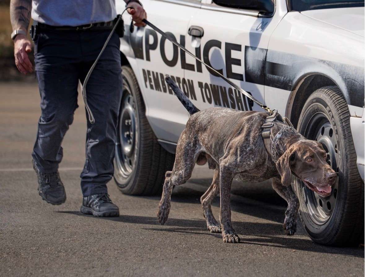 K-9 Unit