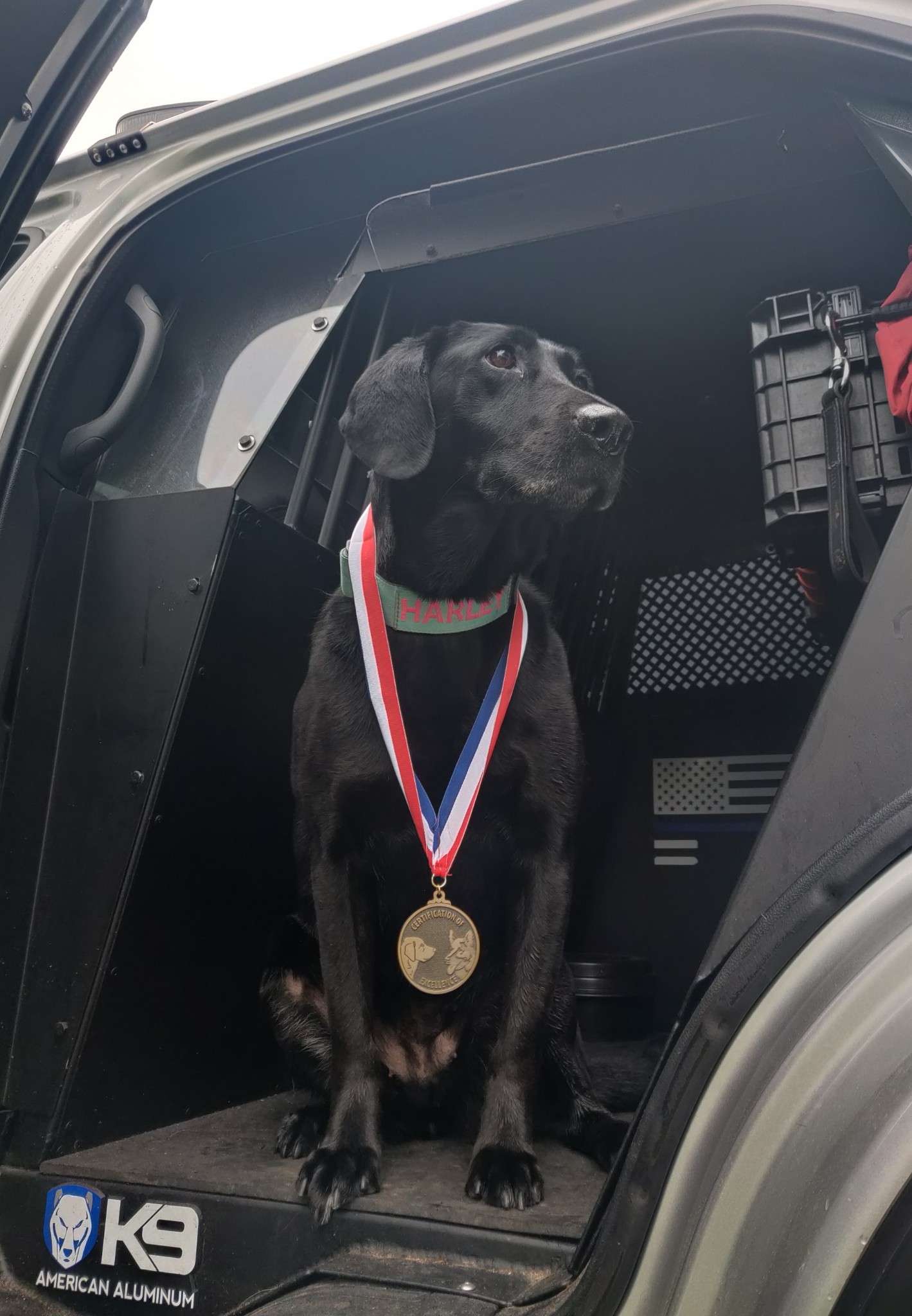 K-9 Unit