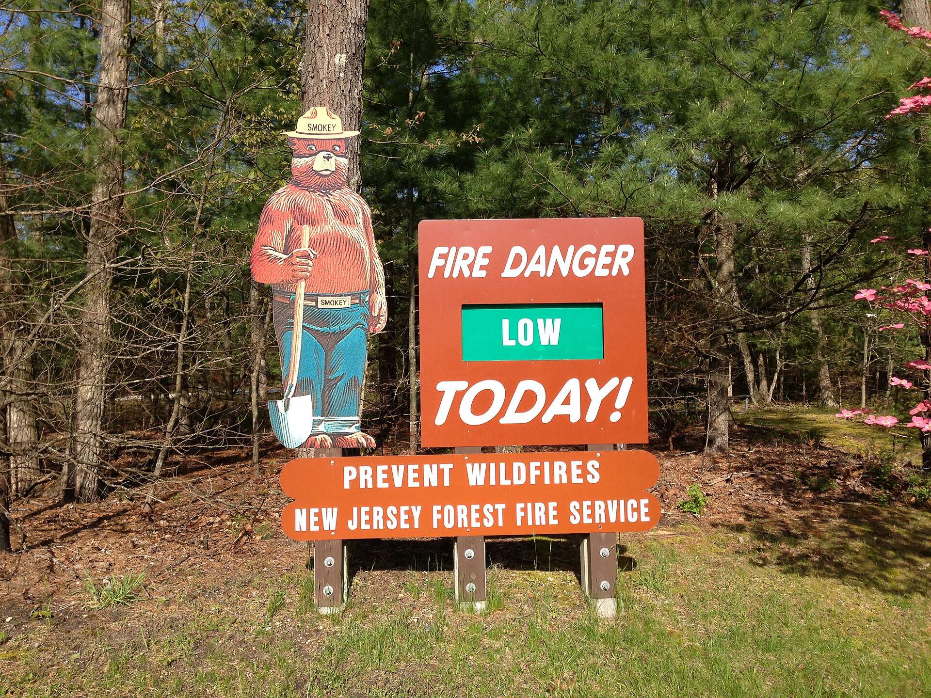 NJ Forest Fire